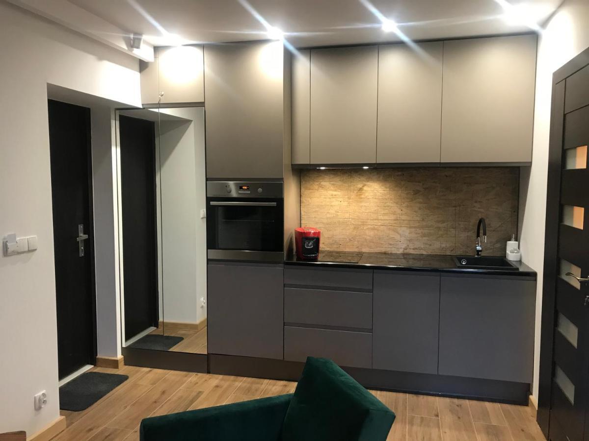 Apartamenty Mecenasowka Закопане Екстер'єр фото